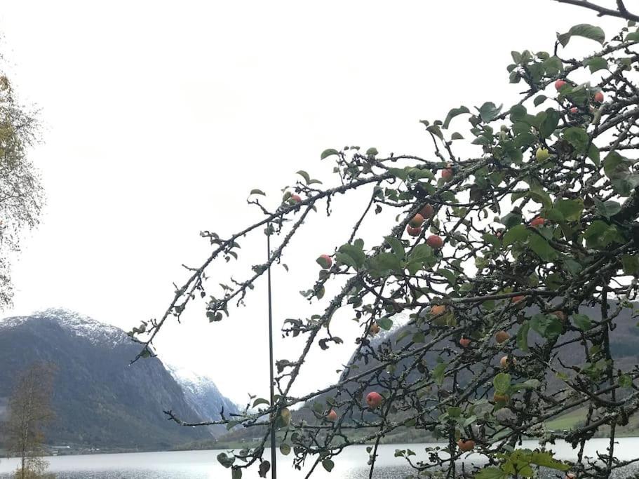 Apartment With Lake View In Jolster Årdal Kültér fotó